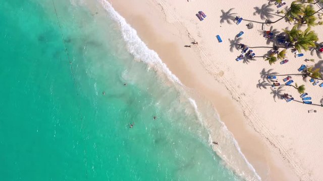 Aerial view from drone on seashore with resorts. Tropical destination for travel and summer vacations. People faving fun on caribbean beach with palm trees and sunbeds