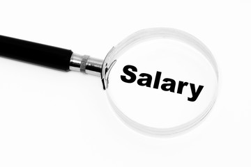 Salary in the focus