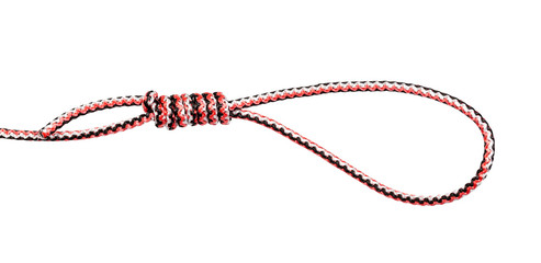 Hangman's knot tied on synthetic rope cut out