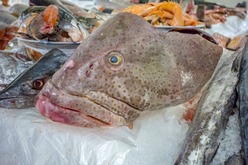 seafood