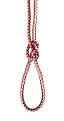 crabber's eye knot tied on synthetic rope cut out