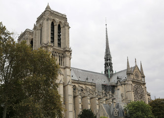 Fototapeta na wymiar View of Cathedral of Notre Dame de Paris