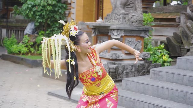 Attractive young balinese dancer performing while carrying frangipani flower and wearing traditional costume in the temple. Shot in 4k resolution