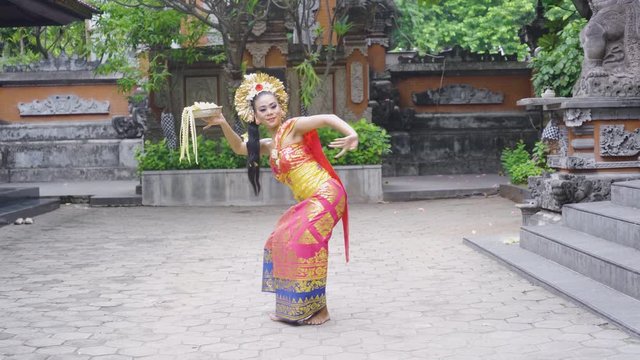 Beautiful young balinese dancer dancing while carrying frangipani flower in the temple. Shot in 4k resolution