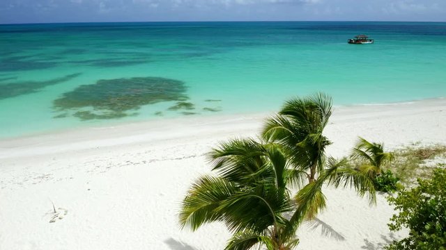 tropical palm trees on perfect beach, Dickenson Bay, Antigua