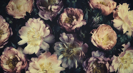 Vintage bouquet of beautiful peonies on black. Floristic decoration. Floral background. Baroque old fashiones style. Natural flowers pattern wallpaper or greeting card © Rymden