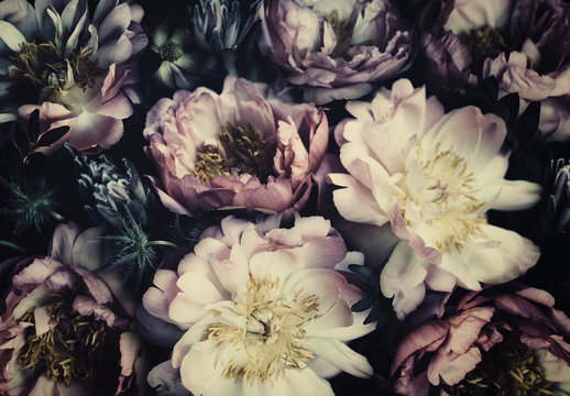 Vintage bouquet of beautiful peonies on black. Floristic decoration. Floral background. Baroque old fashiones style. Natural flowers pattern wallpaper or greeting card © Rymden