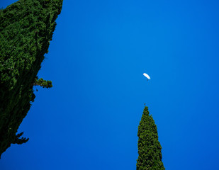 paraglider behind cypress trees in Provence in summer