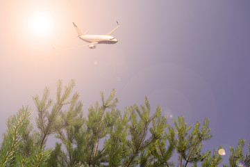 Airliner over the green trees. Sunset.