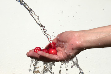 sweet cherries in hand under water