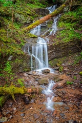 Obraz premium Little Smoky Mountain Waterfall in Spring