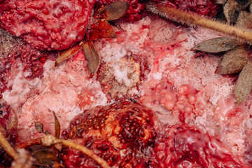 Texture of spoiled strawberries. Dangerous mold spores on strawberries. Improper storage of sweet...