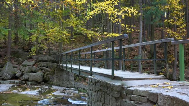 A wooden bridge across a creek in a forest