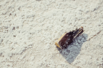 wood on salt 