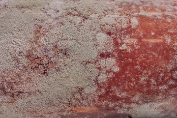 Texture of a spoiled churchkhela on a white background. Mold spores on churchkhele. Improper...