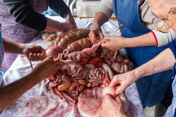 organs from Pig slaughter