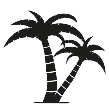 simple flat black and white palm tree icon vector illustration