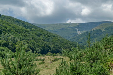 Fototapeta na wymiar Panorama of glade and green forest in front of Black peak, Vitosha mountain, Bulgaria 