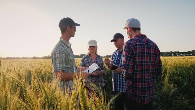 A group of farmers are chatting around a wheat field, debating. Teamwork