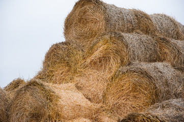 Storage with piles of stacks of hay