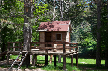 Wood house in the park