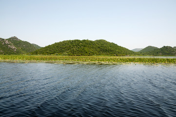 Skadar lake Montenegro