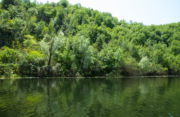 Fototapeta na wymiar Wild Nature in Skadar Lake
