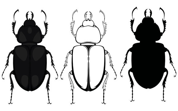 Image beetle, which can be used for printing on T-shirts, as a logo or for a tattoo.