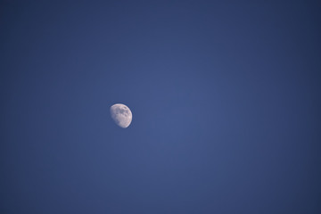 moon in the sky