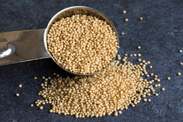 Amaranth Spilled from a Teaspoon