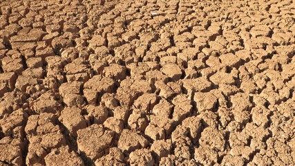 Terra seca