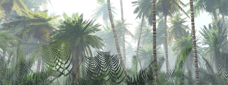 Jungle in the fog at sunrise, palm trees in the haze