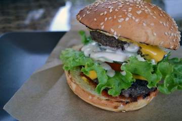 fresh tasty Burger, isolated. close up