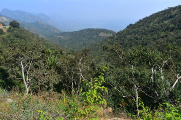 Fototapeta na wymiar View of Cumbam Valley from Meghamalai Hills in Tamil Nadu