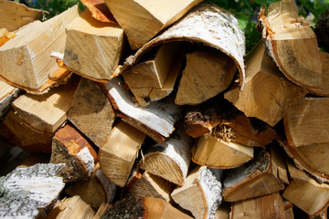 A pile of firewood prepared for kindling during a picnic, against a background of green foliage, in a park or forest. Eco-friendly and natural items. Camping