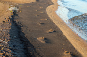 footprints of bare heels on a muddy beach