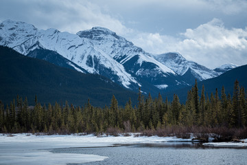 snow capped mountain in the background of a green forest full of pine trees.  Located in the rocky mountains of canada
