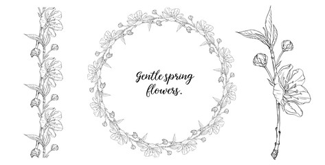 Vector floral composition with spring flowers