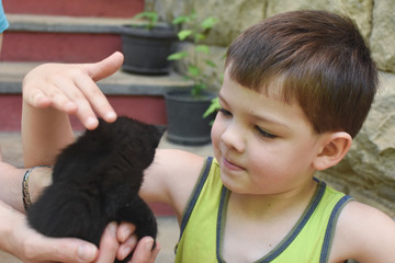 Adorable little boy and small black kitten. Child first time cuddle little kitty