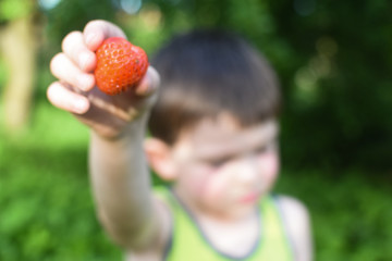 Fresh organic strawberry in child hand. Selective focus strawberry hand picked from a farm