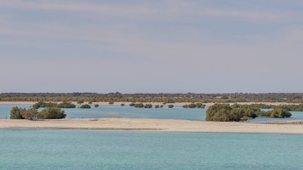 île de Sir Bani Yas aux émirats arabes unis