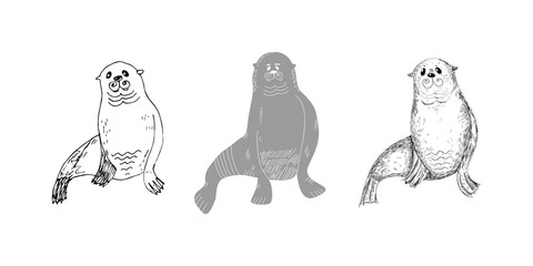 cute minimal illustration of three sea lions drawn in different techniques and colors. 