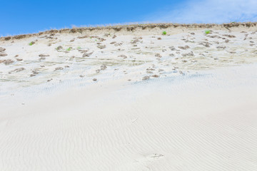 Fototapeta na wymiar Sand dunes of the Curonian spit also known as 