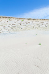 Sand dunes of the Curonian spit also known as 