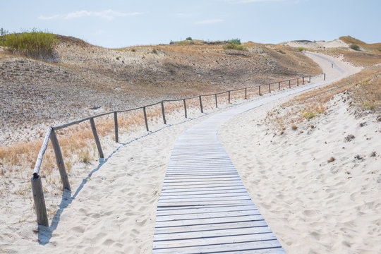 Sand dunes of the Curonian spit also known as "Dead or Grey dunes". Wooden trail runs in desert plants of wild untouched nature. This place the highest drifting sand dunes in Europe. Nida, Lithuania.
