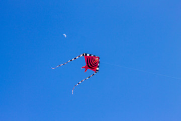 kite and moon in the sky