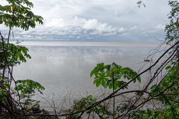 Océan Atlantique vu du sentier de Montabo à Cayenne en Guyane française