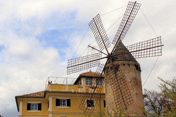 Fototapete bei efototapeten.de bestellen   