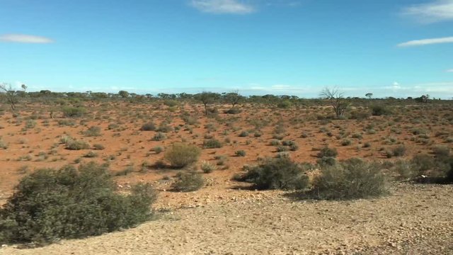 Landscape of trees and plants as view from a car driving along Stuart Highway in central Australia outback.