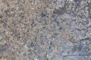 Grayish Weathered Natural Stone Texture